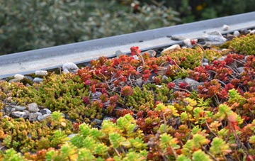 the cost of Dartford green roof installation