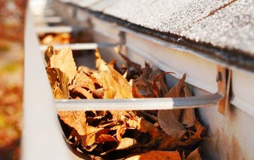 Dartford gutter cleaning companies