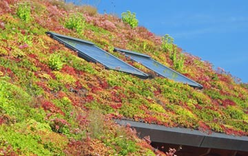 Dartford living roof systems