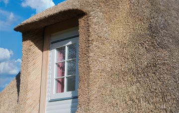 Dartford thatch roof disadvantages