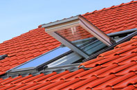 Dartford roof window